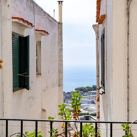 La Terrazza Affittacamere Capri